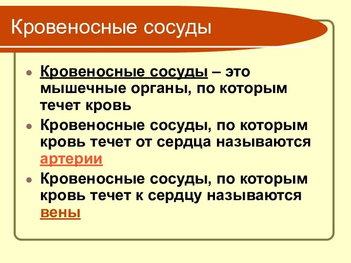 Кровеносные сосуды Кровеносные сосуды – это мышечные органы, по которым течет