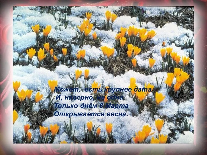 Может, есть крупнее дата И, наверно, не одна. Только днём 8 Марта Открывается весна.