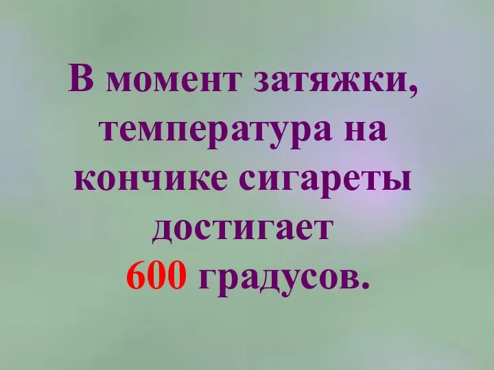 В момент затяжки, температура на кончике сигареты достигает 600 градусов.