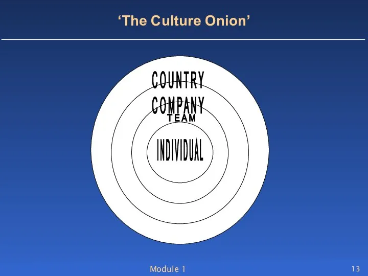 Module 1 ‘The Culture Onion’