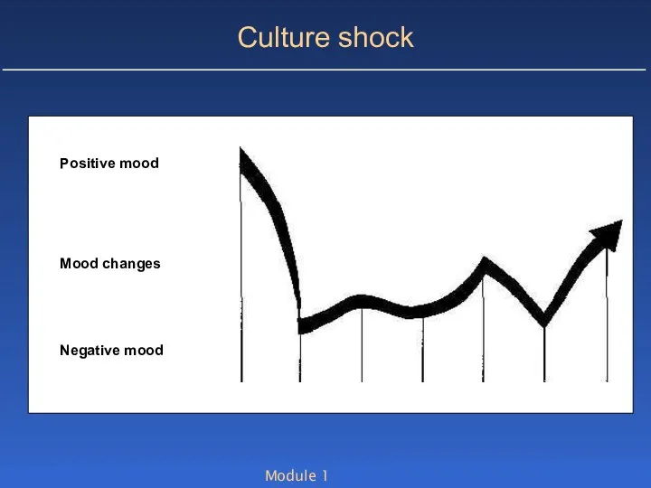 Module 1 Culture shock Positive mood Mood changes Negative mood