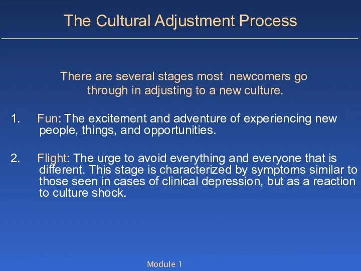 Module 1 The Cultural Adjustment Process There are several stages most