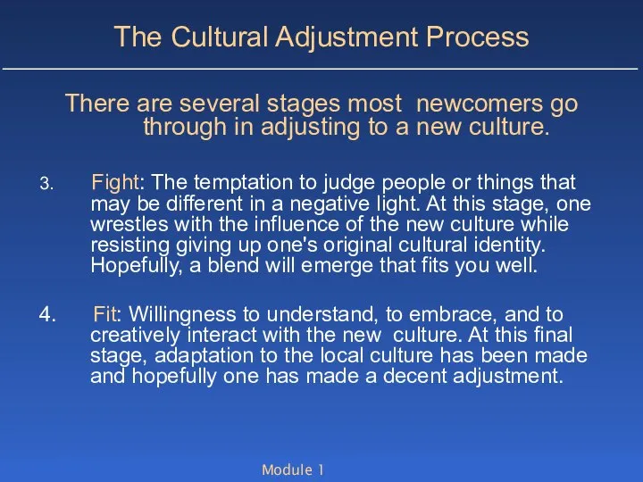 Module 1 The Cultural Adjustment Process There are several stages most