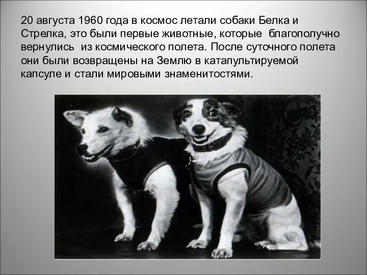 20 августа 1960 года в космос летали собаки Белка и Стрелка,
