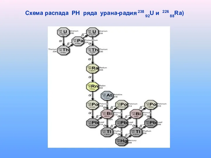 Схема распада РН ряда урана-радия 238 92U и 226 88Ra)