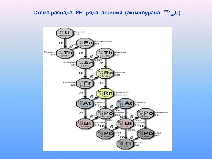 Схема распада РН ряда актиния (актиноурана 235 92U)