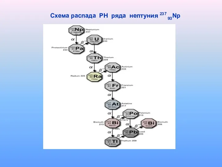 Схема распада РН ряда нептуния 237 93Np