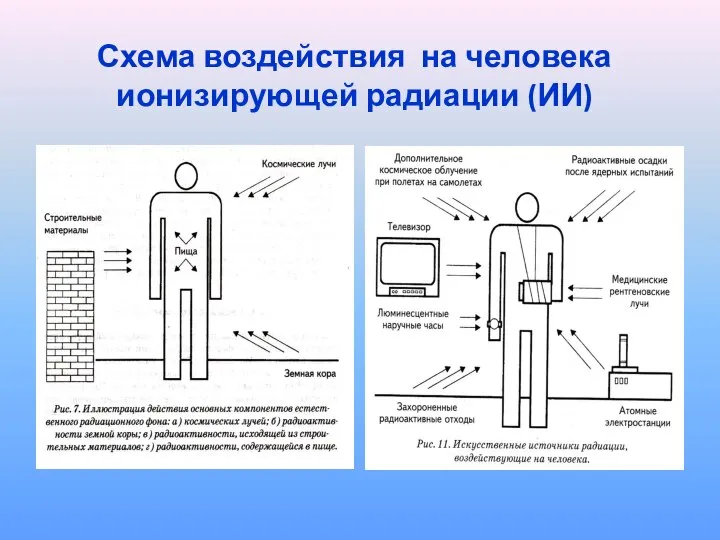 Схема воздействия на человека ионизирующей радиации (ИИ)