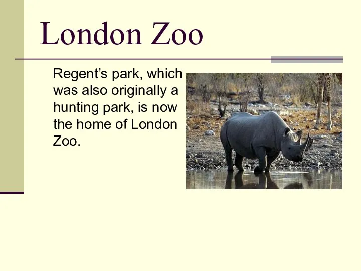 London Zoo Regent’s park, which was also originally a hunting park,