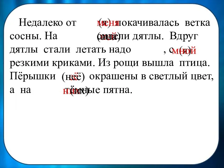 Недалеко от покачивалась ветка сосны. На сидели дятлы. Вдруг дятлы стали