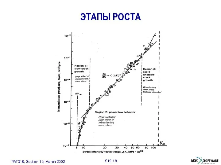 ЭТАПЫ РОСТА