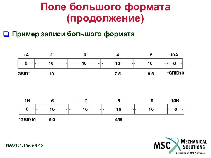 Поле большого формата (продолжение) Пример записи большого формата