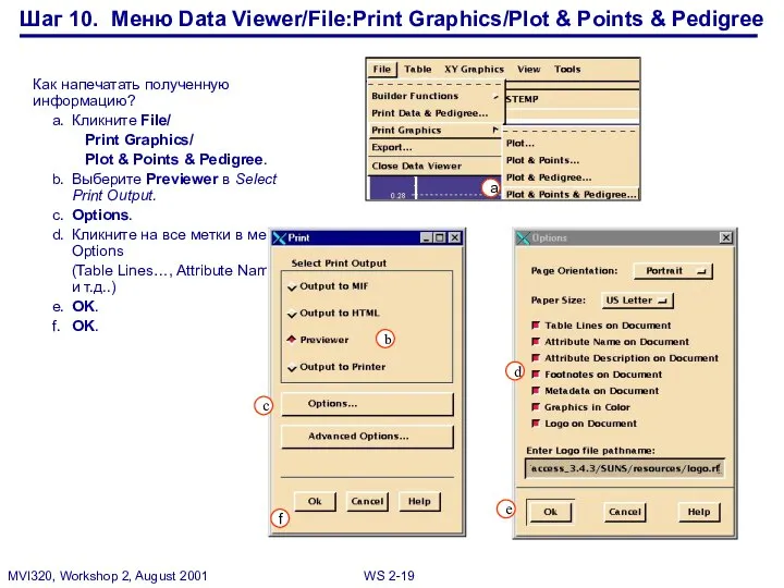 Шаг 10. Меню Data Viewer/File:Print Graphics/Plot & Points & Pedigree Как