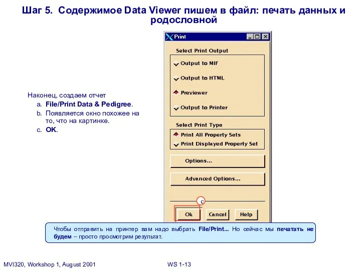 Наконец, создаем отчет a. File/Print Data & Pedigree. b. Появляется окно