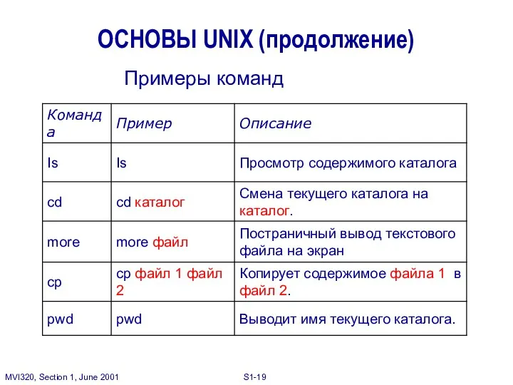 ОСНОВЫ UNIX (продолжение) Примеры команд