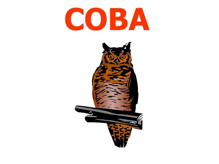 СОВА