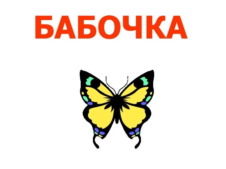 БАБОЧКА