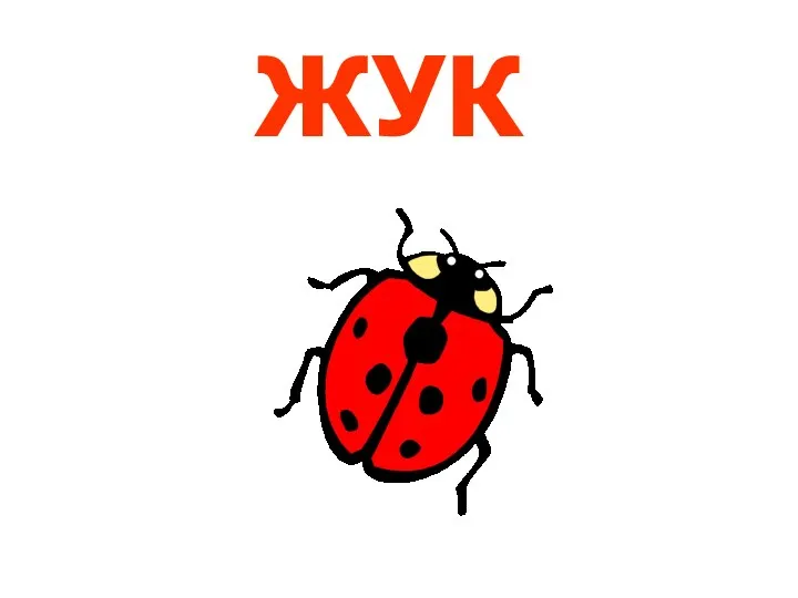 ЖУК