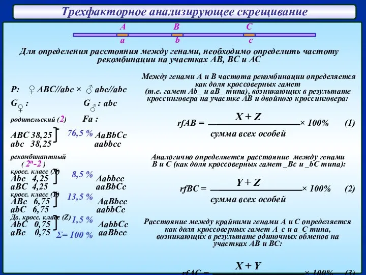 Трехфакторное анализирующее скрещивание P: ♀ ABC//abc × ♂ abc//abc G♀ :