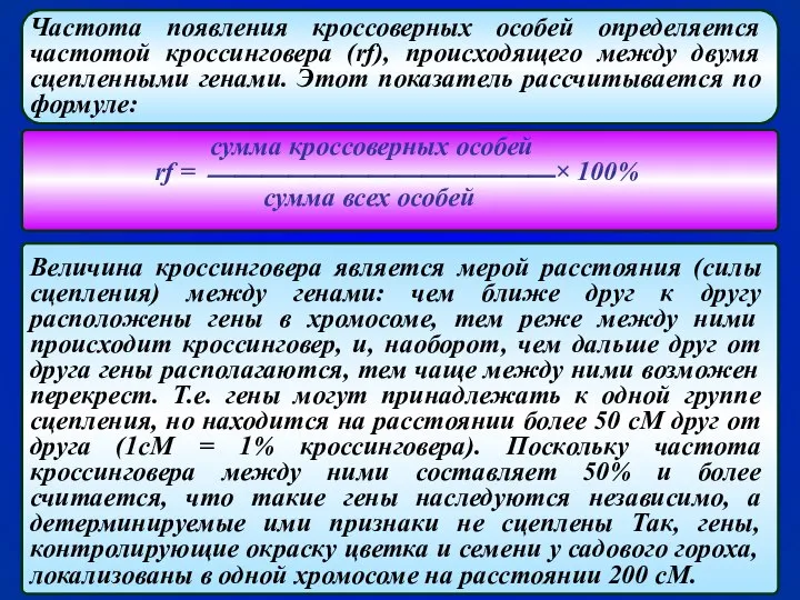 Частота появления кроссоверных особей определяется частотой кроссинговера (rf), происходящего между двумя