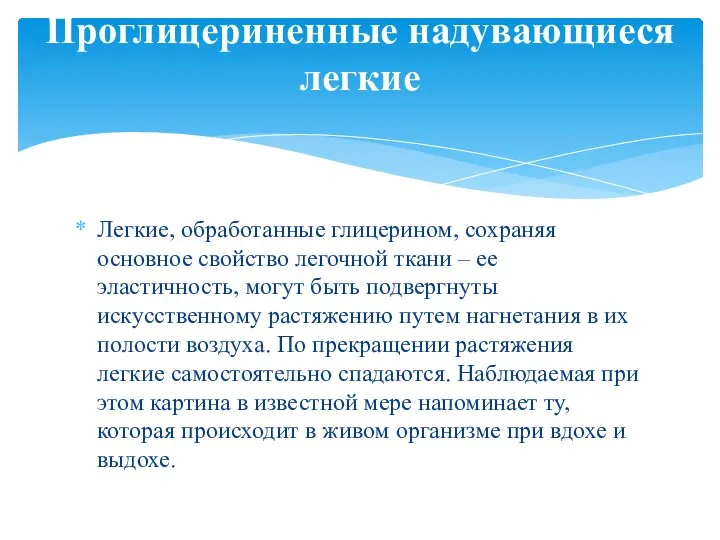 Легкие, обработанные глицерином, сохраняя основное свойство легочной ткани – ее эластичность,