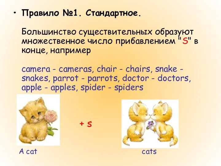 Правило №1. Стандартное. Большинство существительных образуют множественное число прибавлением "S" в