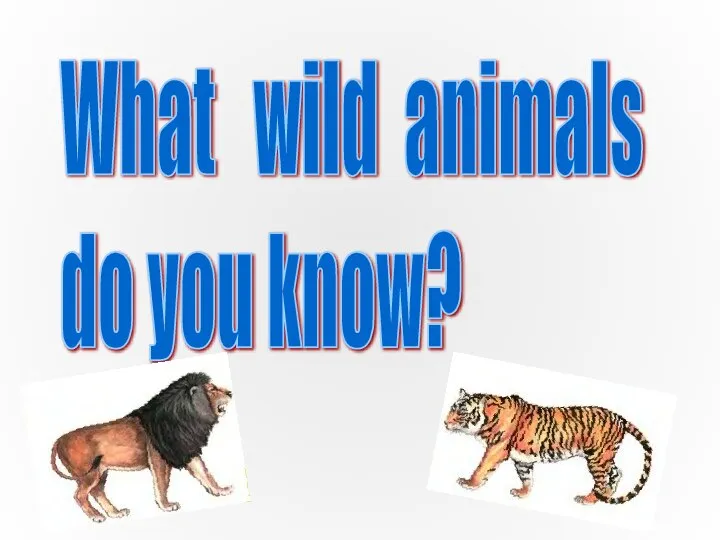 What wild animals do you know?