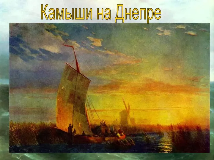 Камыши на Днепре