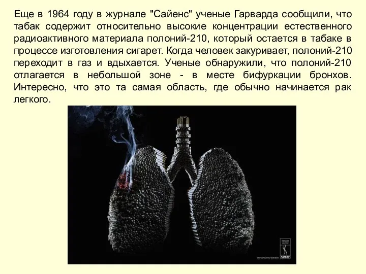 Еще в 1964 году в журнале "Сайенс" ученые Гарварда сообщили, что