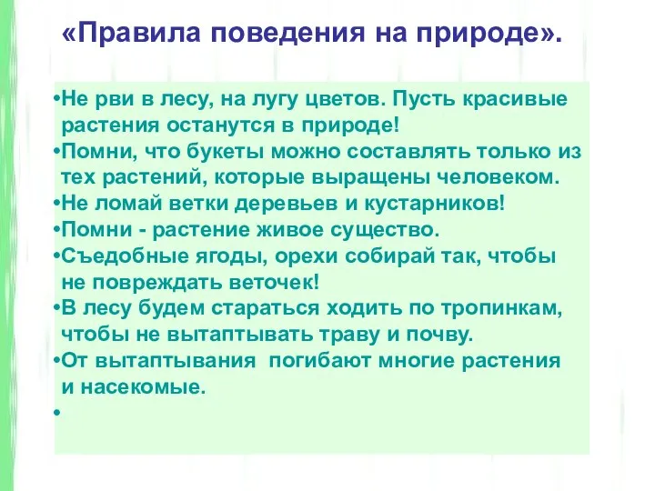 Не рви в лесу, на лугу цветов. Пусть красивые растения останутся