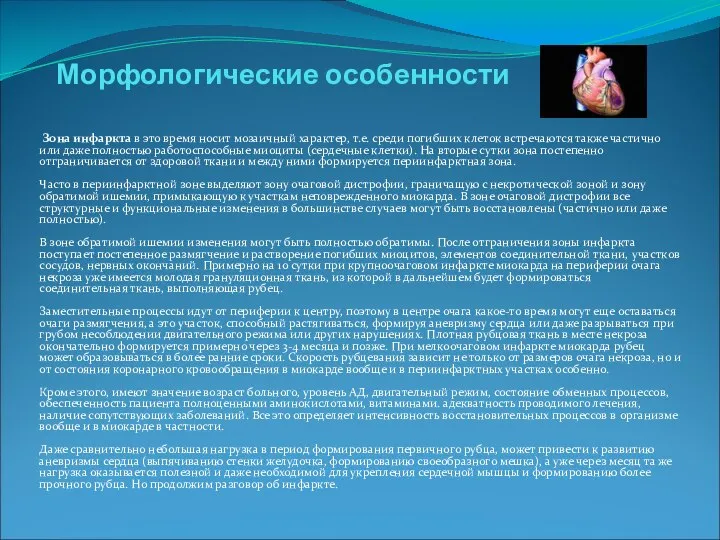 Морфологические особенности Зона инфаркта в это время носит мозаичный характер, т.е.