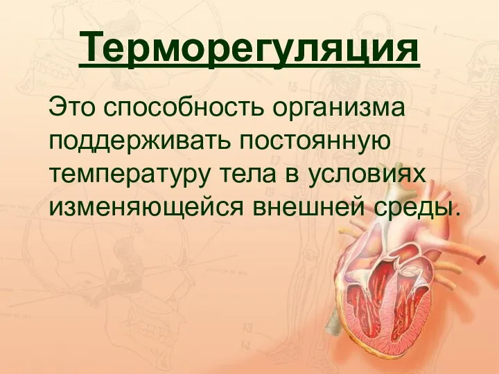 Терморегуляция Это способность организма поддерживать постоянную температуру тела в условиях изменяющейся внешней среды.