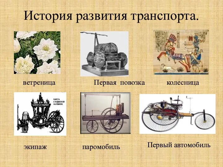 История развития транспорта. ветреница Первая повозка колесница паромобиль экипаж Первый автомобиль