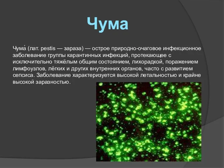 Чума Чума́ (лат. pestis — зараза) — острое природно-очаговое инфекционное заболевание