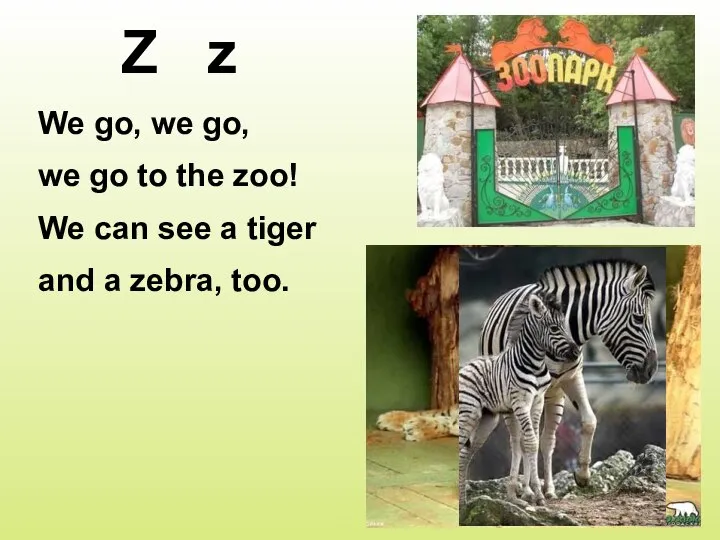 Z z We go, we go, we go to the zoo!