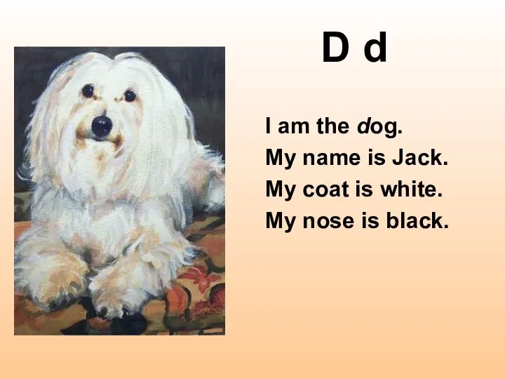 D d I am the dog. My name is Jack. My