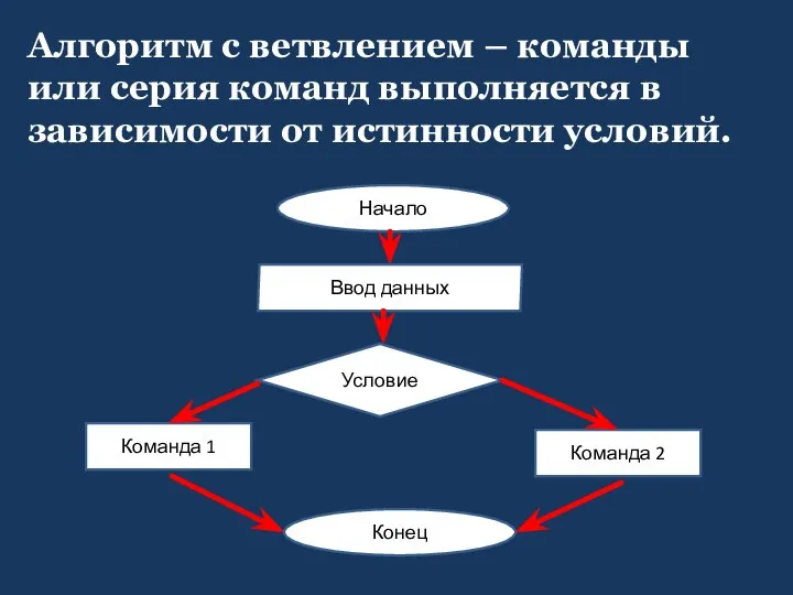 Алгоритм с ветвлением – команды или серия команд выполняется в зависимости от истинности условий.