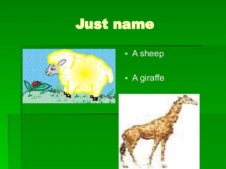 Just name A sheep A giraffe