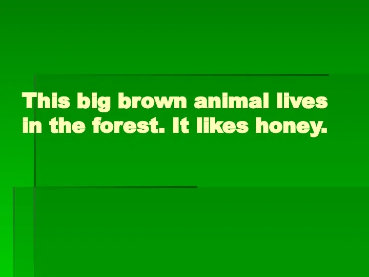 This big brown animal lives in the forest. It likes honey.