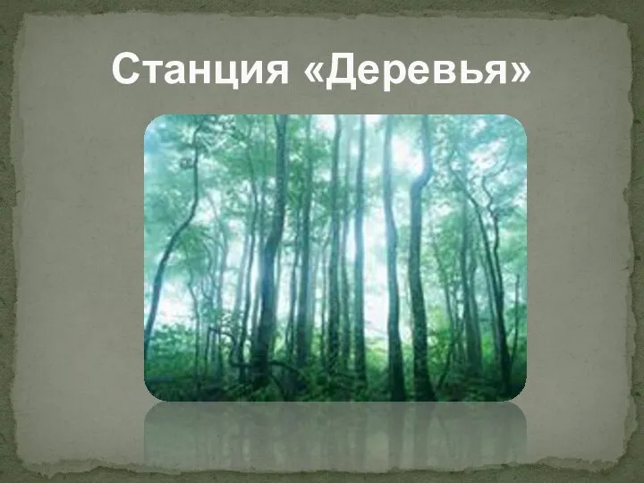 Станция «Деревья»