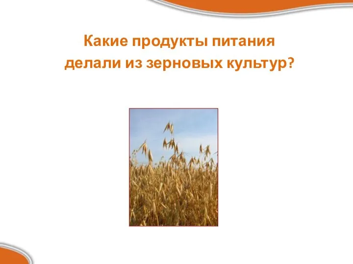 Какие продукты питания делали из зерновых культур?