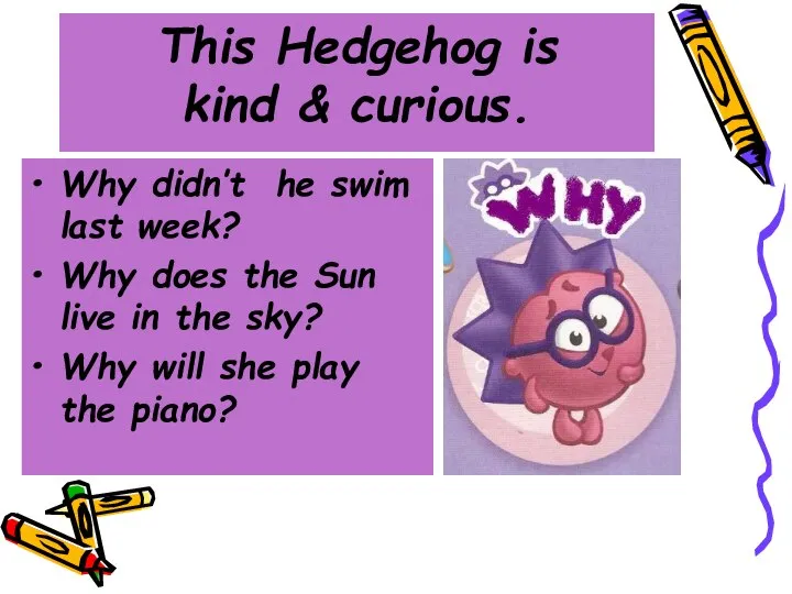 This Hedgehog is kind & curious. Why didn’t he swim last