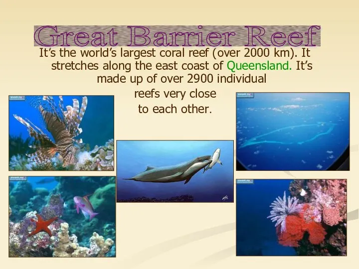 It’s the world’s largest coral reef (over 2000 km). It stretches