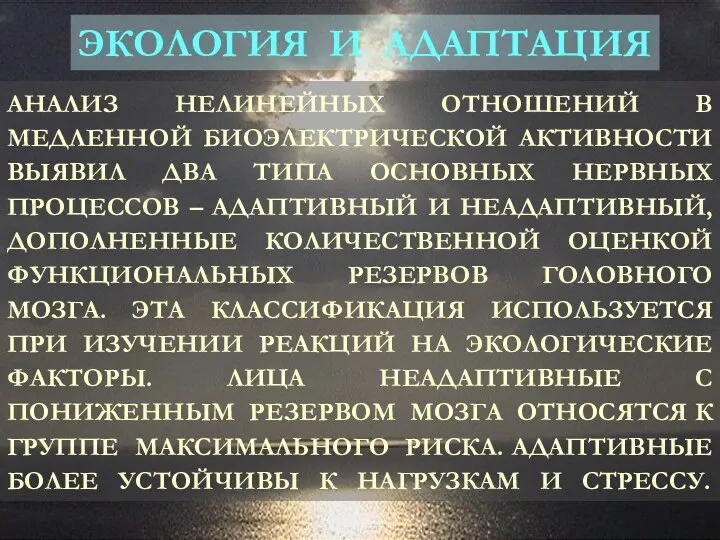 АНАЛИЗ НЕЛИНЕЙНЫХ ОТНОШЕНИЙ В МЕДЛЕННОЙ БИОЭЛЕКТРИЧЕСКОЙ АКТИВНОСТИ ВЫЯВИЛ ДВА ТИПА ОСНОВНЫХ