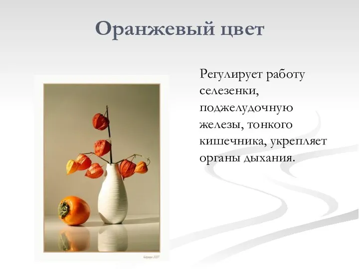 Оранжевый цвет Регулирует работу селезенки, поджелудочную железы, тонкого кишечника, укрепляет органы дыхания.