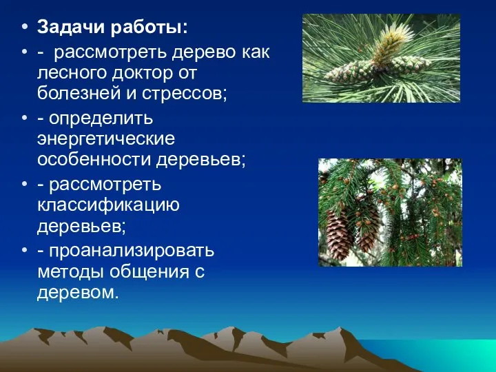 Задачи работы: - рассмотреть дерево как лесного доктор от болезней и