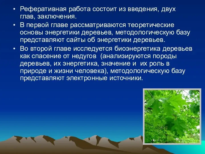 Реферативная работа состоит из введения, двух глав, заключения. В первой главе