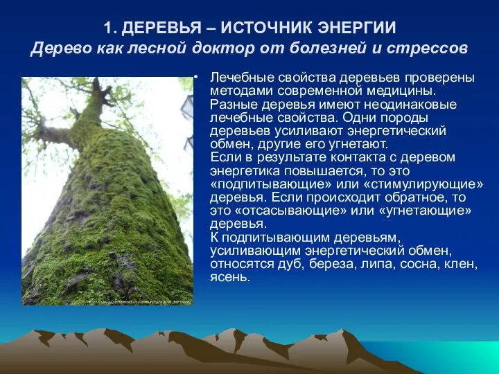 1. ДЕРЕВЬЯ – ИСТОЧНИК ЭНЕРГИИ Дерево как лесной доктор от болезней