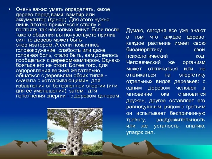 Очень важно уметь определять, какое дерево перед вами: вампир или аккумулятор