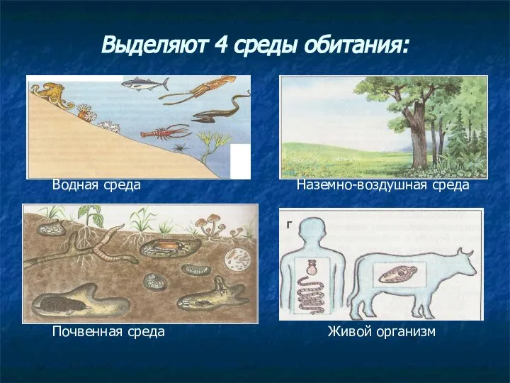 Выделяют 4 среды обитания: Водная среда Наземно-воздушная среда Почвенная среда Живой организм